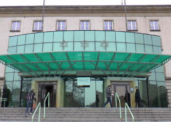 Łatwiej i szybciej załatwimy sprawę w urzędzie miejskim. Magistrat ogłasza przetarg na e-usługi