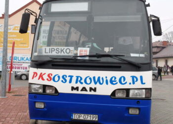 19 nowych linii autobusowych na terenie powiatu lipskiego
